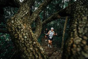 BIB: 
                            <button type="button" onclick="openModal(25697002)" class="btn btn-primary btn-sm float-right btn-popup" data-toggle="modal" data-target=".modal-high-quality">
                        <i class="fas fa-shopping-cart"></i> Add to Cart
                    </button>
                                            <button type="button" onclick="isThisMe(25697002, true)" class="btn btn-success btn-sm float-right btn-popup btn-isme hidden" data-toggle="tooltip" data-placement="bottom" title="นี่คือรูปของคุณใช่ไหม คลิกที่นี่เพื่อเอาเข้าอัลบั้ม">
                        <i class="fas fa-plus"></i> Add to album
                    </button>
                    <button type="button" onclick="isThisMe(25697002, false)" class="btn btn-warning btn-sm float-right btn-popup btn-isnotme hidden">
                        <i class="fas fa-ban"></i> Remove from album
                    </button>